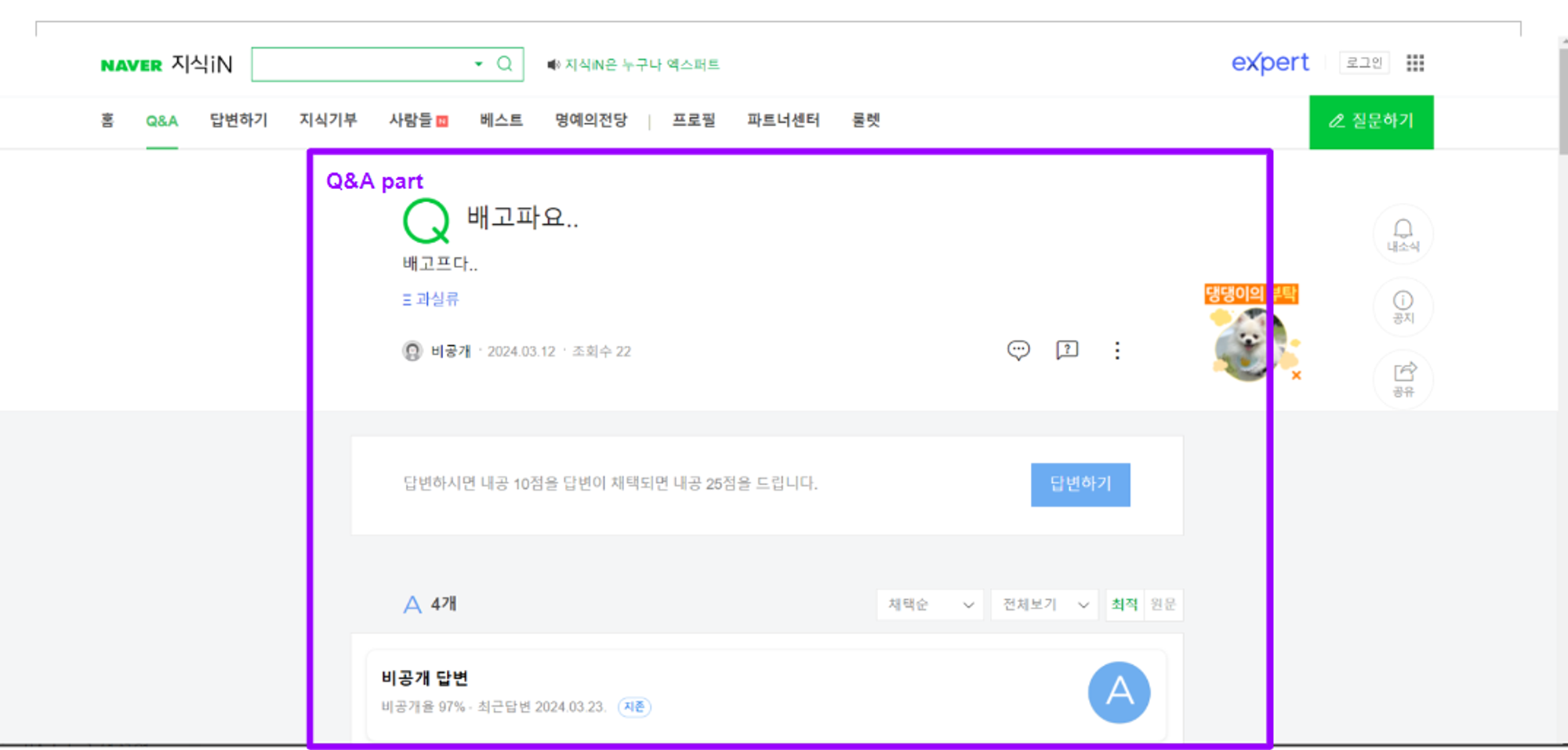 Naver Knowledge iN Q&A Page